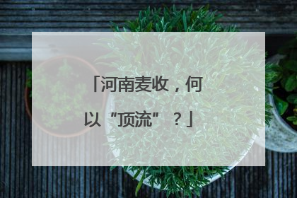 河南麦收，何以“顶流”？