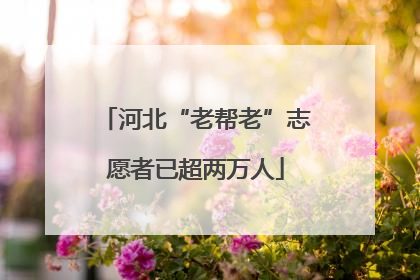 河北“老帮老”志愿者已超两万人