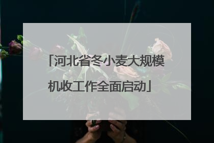 河北省冬小麦大规模机收工作全面启动