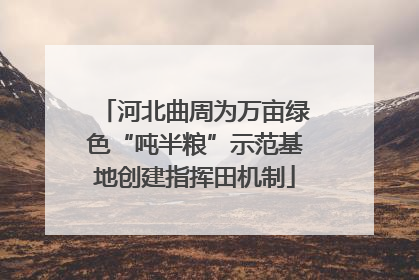 河北曲周为万亩绿色“吨半粮”示范基地创建指挥田机制