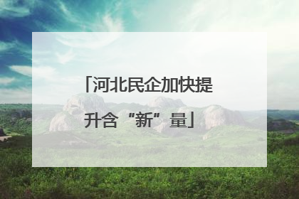 河北民企加快提升含“新”量