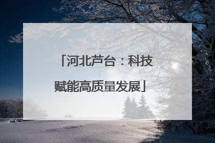 河北芦台：科技赋能高质量发展
