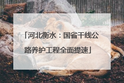 河北衡水：国省干线公路养护工程全面提速
