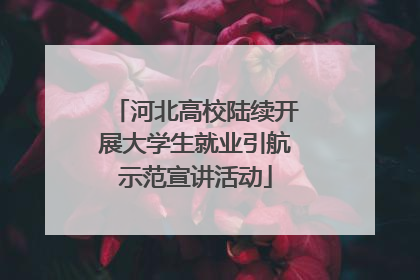 河北高校陆续开展大学生就业引航示范宣讲活动