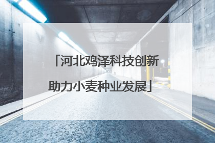 河北鸡泽科技创新助力小麦种业发展