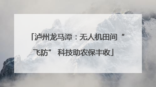 泸州龙马潭：无人机田间“飞防” 科技助农保丰收