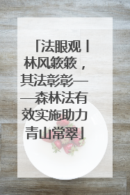 法眼观丨林风簌簌，其法彰彰——森林法有效实施助力青山常翠