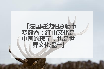 法国驻沈阳总领事罗毅睿：红山文化是中国的瑰宝，也是世界文化遗产