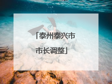 泰州泰兴市市长调整
