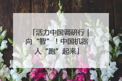 活力中国调研行｜向“智”！中国机器人“跑”起来