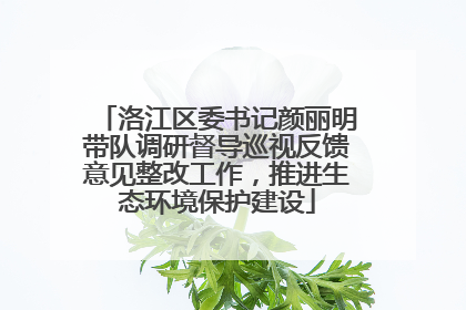 洛江区委书记颜丽明带队调研督导巡视反馈意见整改工作，推进生态环境保护建设