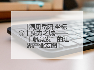 洞见岳阳·坐标⑤丨实力之城——“千帆竞发”的江湖产业宏图
