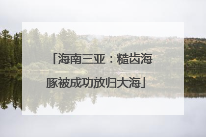 海南三亚：糙齿海豚被成功放归大海