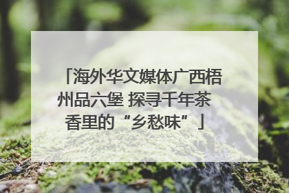 海外华文媒体广西梧州品六堡 探寻千年茶香里的“乡愁味”
