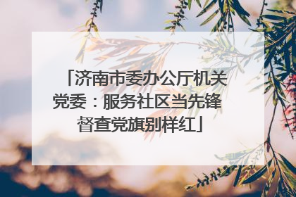 济南市委办公厅机关党委：服务社区当先锋 督查党旗别样红