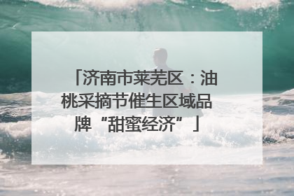 济南市莱芜区：油桃采摘节催生区域品牌“甜蜜经济”