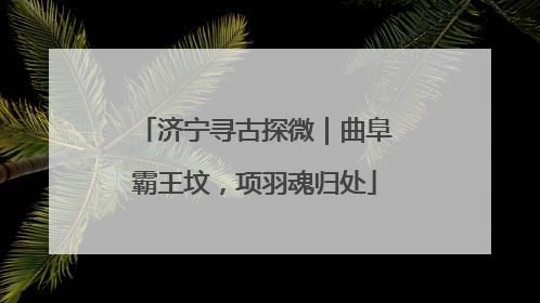 济宁寻古探微｜曲阜霸王坟，项羽魂归处