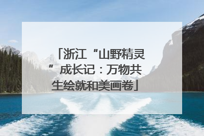 浙江“山野精灵”成长记：万物共生绘就和美画卷