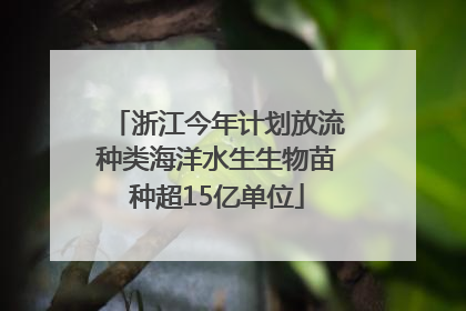 浙江今年计划放流种类海洋水生生物苗种超15亿单位