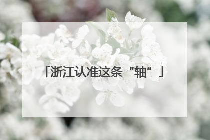 浙江认准这条“轴”