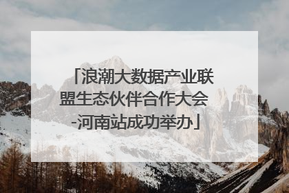浪潮大数据产业联盟生态伙伴合作大会-河南站成功举办