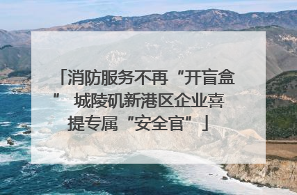 消防服务不再“开盲盒” 城陵矶新港区企业喜提专属“安全官”