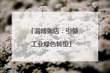 淄博张店：引领工业绿色转型