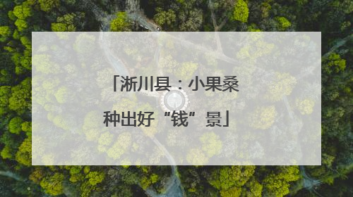 淅川县：小果桑种出好“钱”景