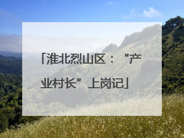 淮北烈山区：“产业村长”上岗记