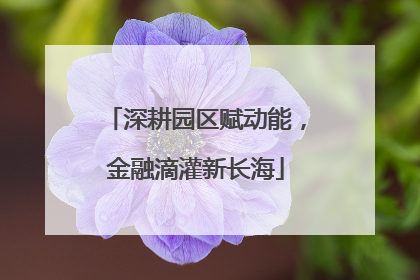 深耕园区赋动能，金融滴灌新长海
