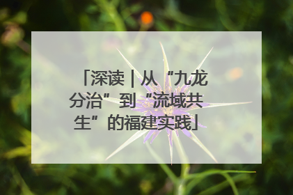 深读｜从“九龙分治”到“流域共生”的福建实践