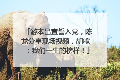 游本昌宣誓入党，陈龙分享现场视频，胡歌：我们一生的榜样！