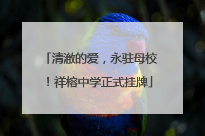 清澈的爱，永驻母校！祥榕中学正式挂牌