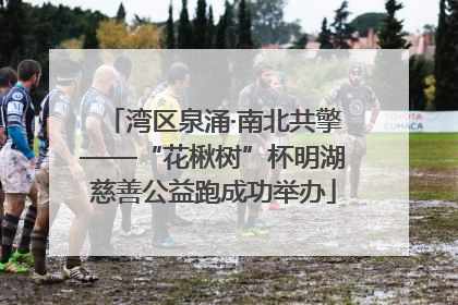 湾区泉涌·南北共擎——“花楸树”杯明湖慈善公益跑成功举办