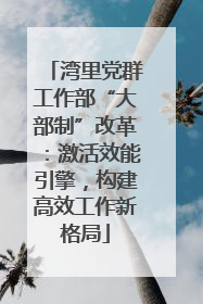 湾里党群工作部“大部制”改革：激活效能引擎，构建高效工作新格局
