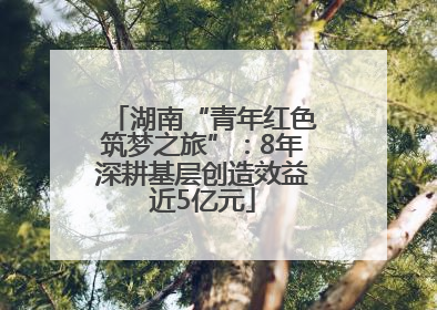 湖南“青年红色筑梦之旅”：8年深耕基层创造效益近5亿元