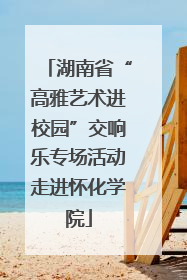 湖南省“高雅艺术进校园”交响乐专场活动走进怀化学院