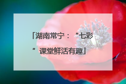湖南常宁：“七彩”课堂鲜活有趣