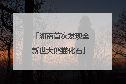 湖南首次发现全新世大熊猫化石