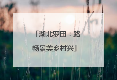 湖北罗田：路畅景美乡村兴