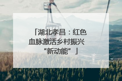 湖北孝昌：红色血脉激活乡村振兴“新动能”
