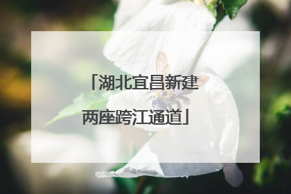 湖北宜昌新建两座跨江通道