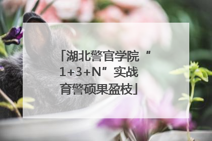 湖北警官学院“1+3+N”实战育警硕果盈枝