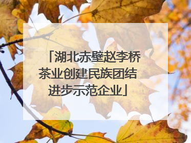湖北赤壁赵李桥茶业创建民族团结进步示范企业
