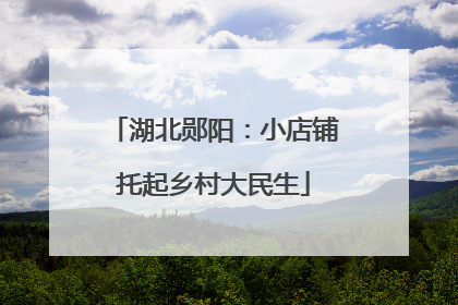 湖北郧阳：小店铺托起乡村大民生