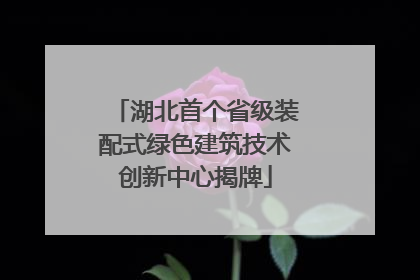 湖北首个省级装配式绿色建筑技术创新中心揭牌