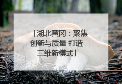 湖北黄冈：聚焦创新与质量 打造三维新模式