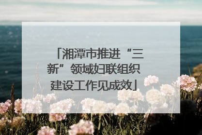 湘潭市推进“三新”领域妇联组织建设工作见成效