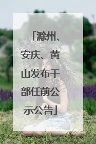 滁州、安庆、黄山发布干部任前公示公告