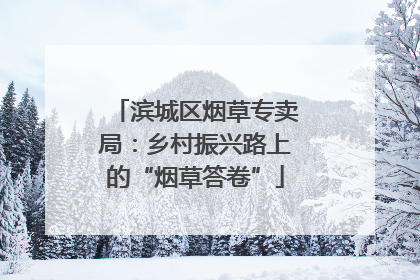 滨城区烟草专卖局：乡村振兴路上的“烟草答卷”